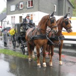 Festumzug N.-fischbach 2009 012