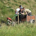 Almabtrieb 3.10.11 058