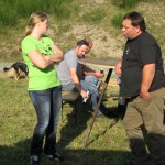 Almabtrieb 3.10.11 064